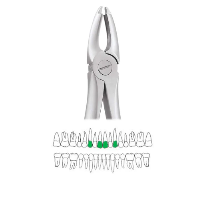 GDC Extraction Forceps Upper Centrals And Canines - 1 Atraumatic (AFX1)