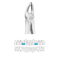 GDC Extraction Forceps Upper Premolars - 7 Atraumatic (AFX7)