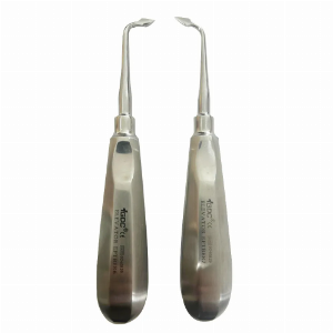 GDC Root Bernard Elevators