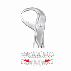 GDC Extraction Forceps Lower Molars - 86 Premium (FX86P)