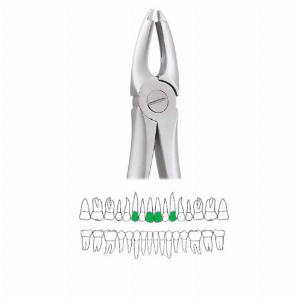 GDC Extraction Forceps Upper Centrals And Canines - 1 Atraumatic (AFX1)