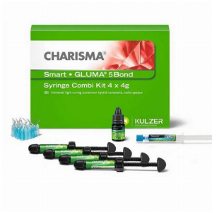 Kulzer Charisma Smart Composite 4 Syringe Kit
