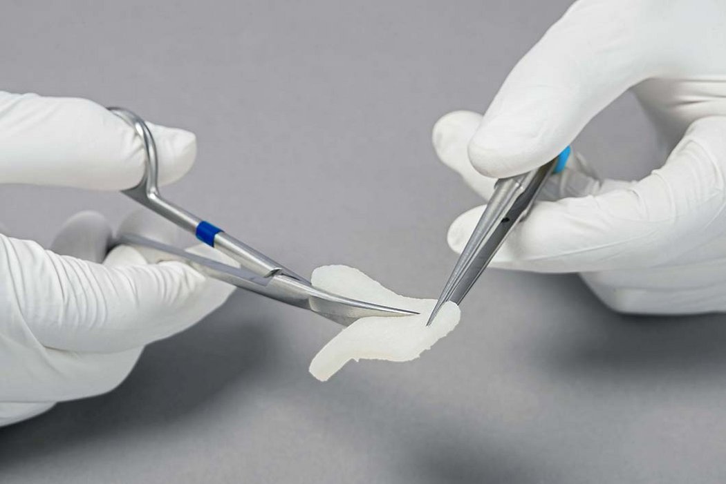 Fibro-Gide Thinner 15x20x3 mm (Collagen Matrix) Single Matrix