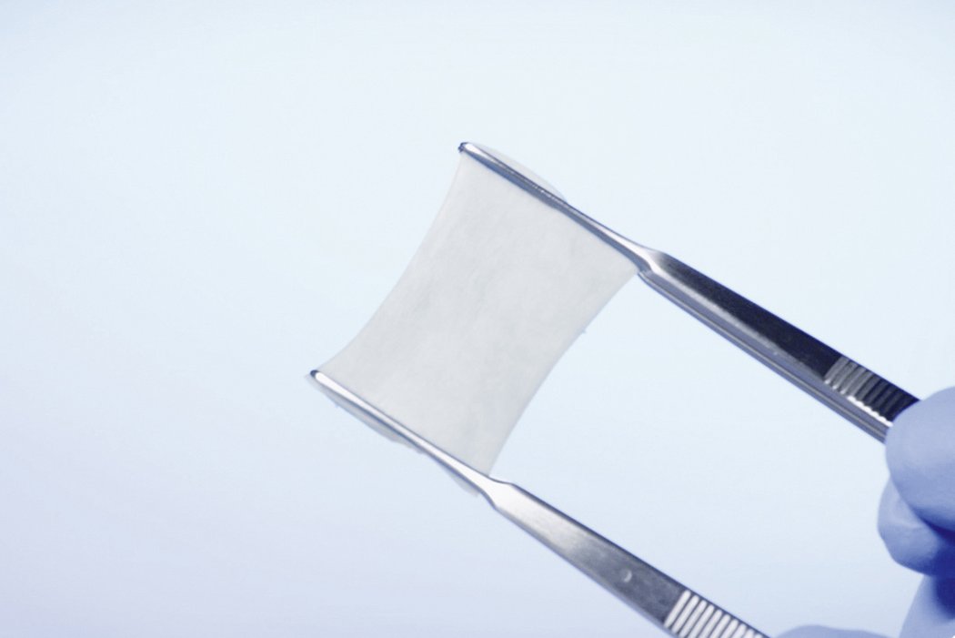 Bio-Gide COMPRESSED 20 x 30 mm (Bi-layered collagen membrane) Singe Unit Pack