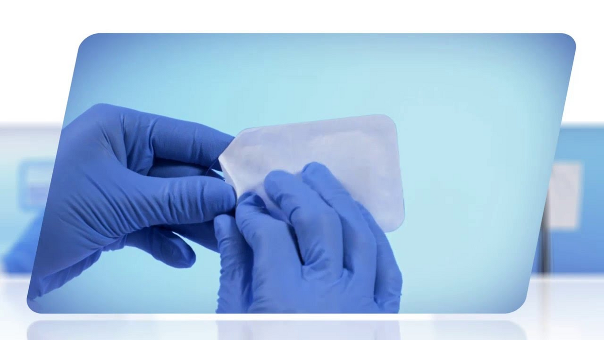 Bio-Gide COMPRESSED 20 x 30 mm (Bi-layered collagen membrane) Singe Unit Pack