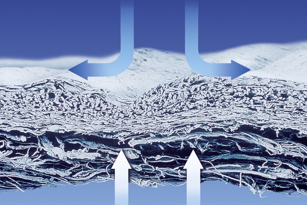 Bio-Gide COMPRESSED 20 x 30 mm (Bi-layered collagen membrane) Singe Unit Pack