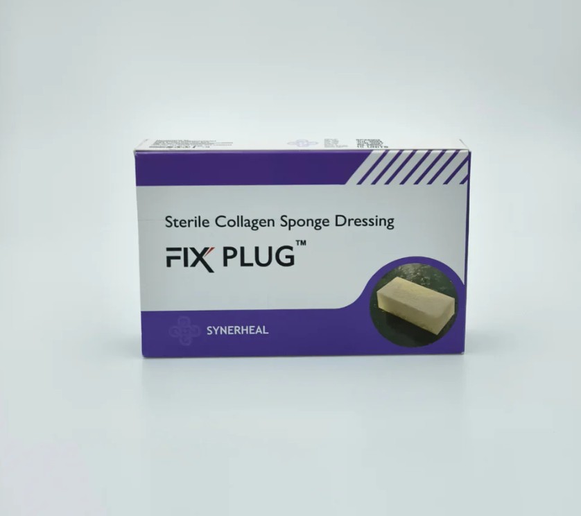 Fix Plugs (Dental plug / sterile resorbable collagen sponge dressing) Pack of 10