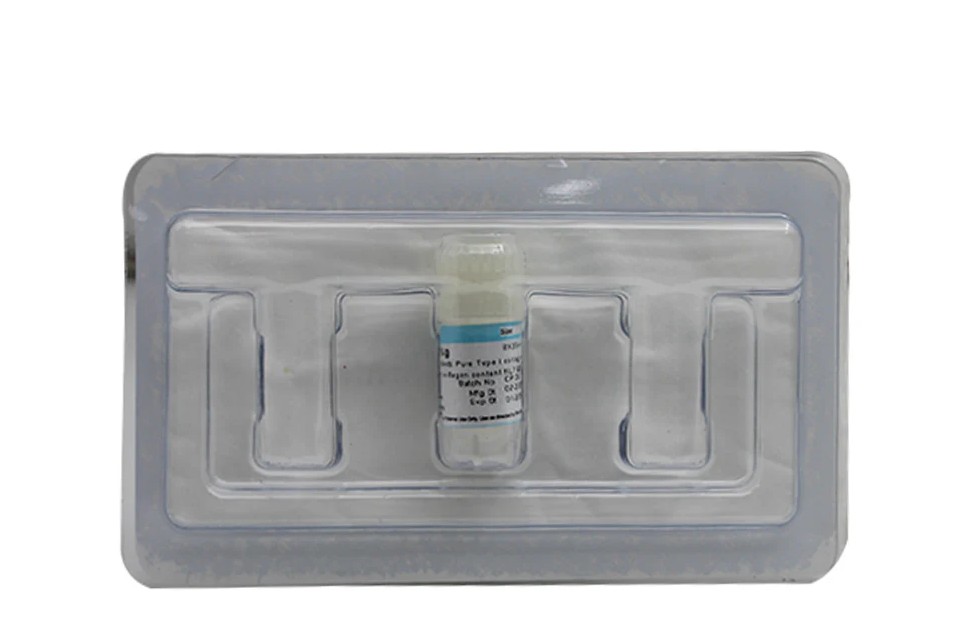 Colo Plug 12 x 20 mm (Sterile Resorbable Collagen Sponge) Single Unit Pack