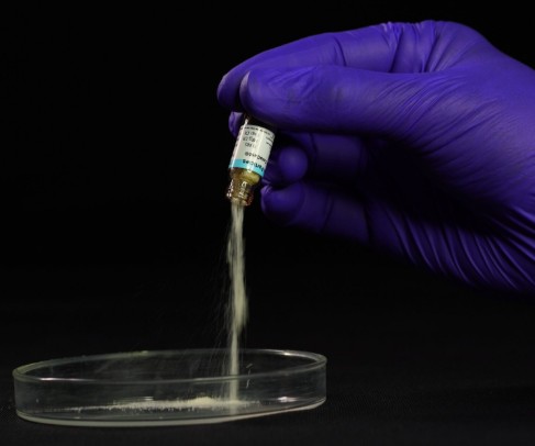 Colo Cast 2 x 0.5 CC pack (Demineralised Bone Matrix Collagen Particles)