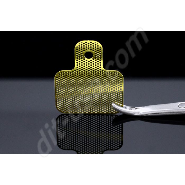 Cytoflex Titanium Mesh 20 x 25 mm (Posterior Small)